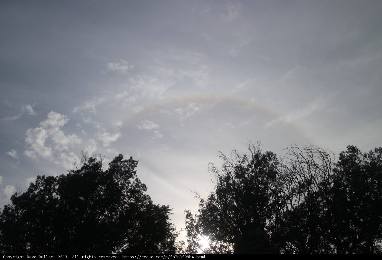Rainbow Over Woodland Canopy