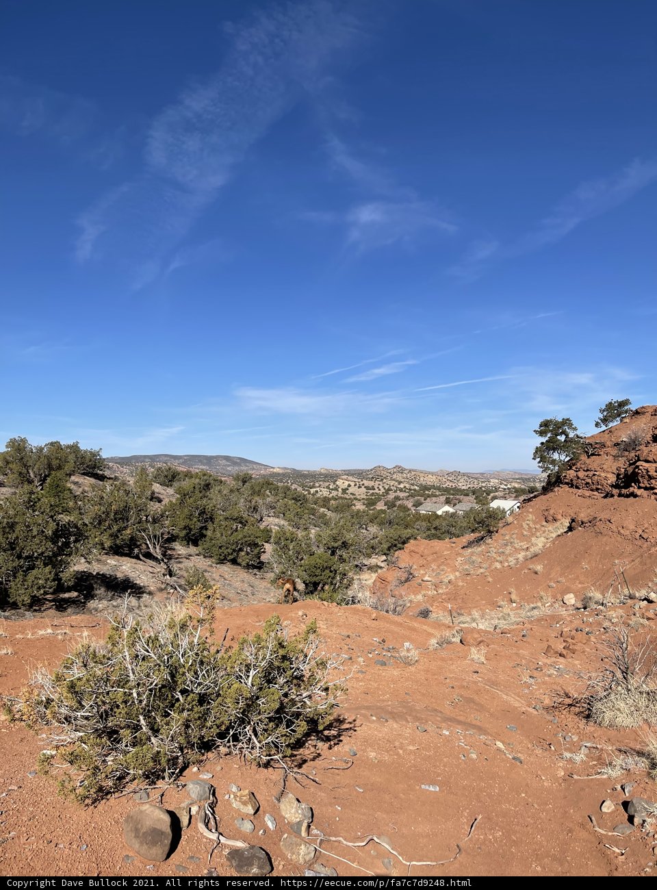 Red Rocks and Desert Landscape