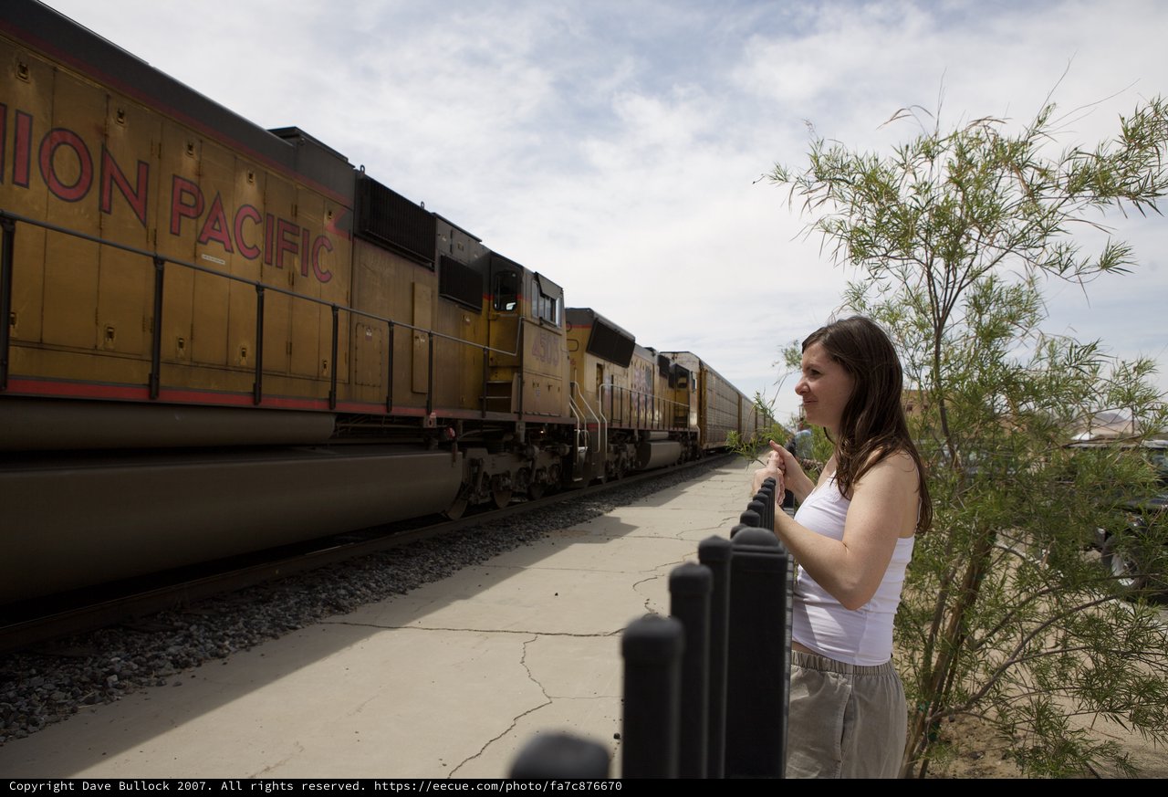 Woman Watches Union Pacific Train Pass in Desert