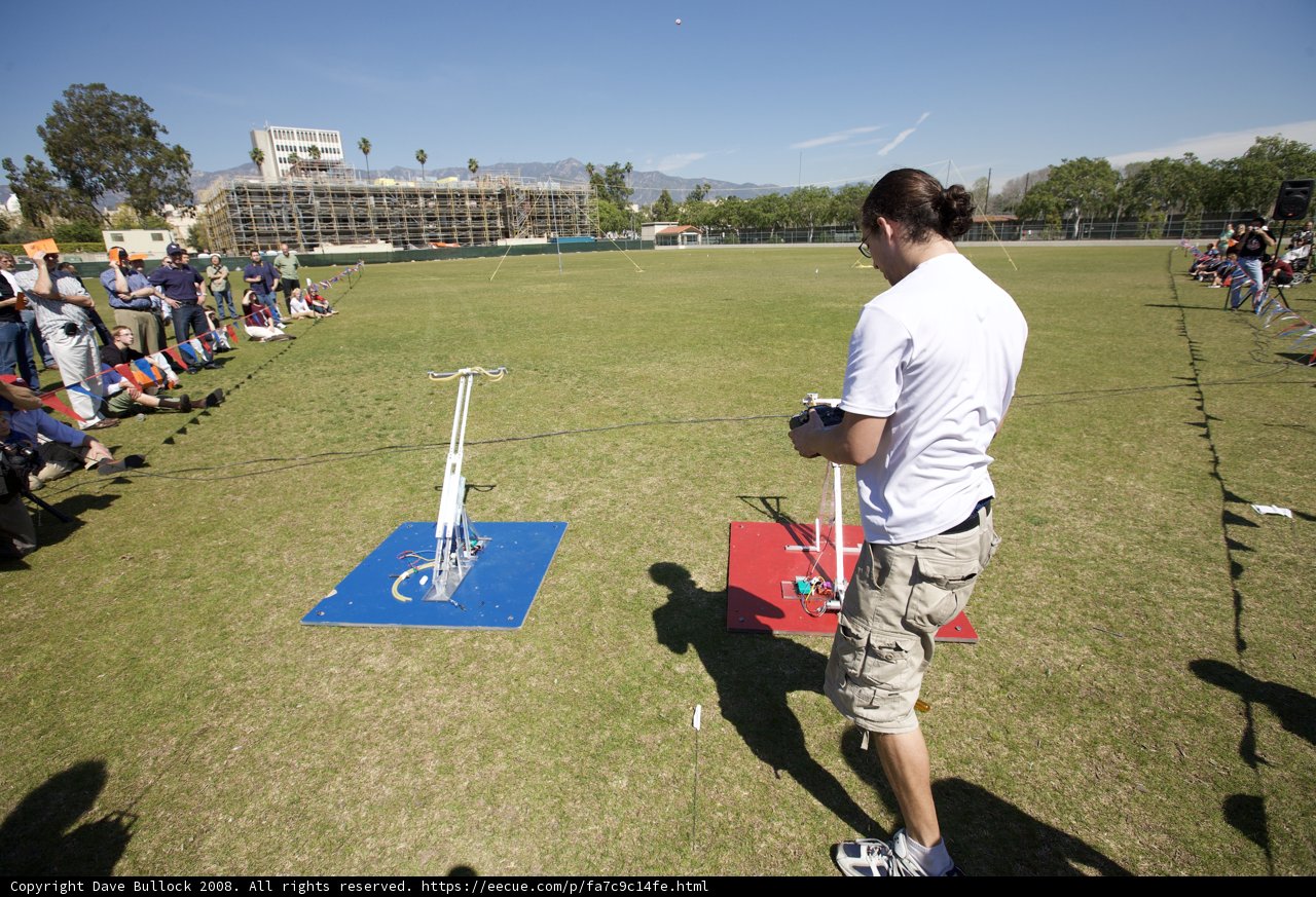 Kite Flying Fun