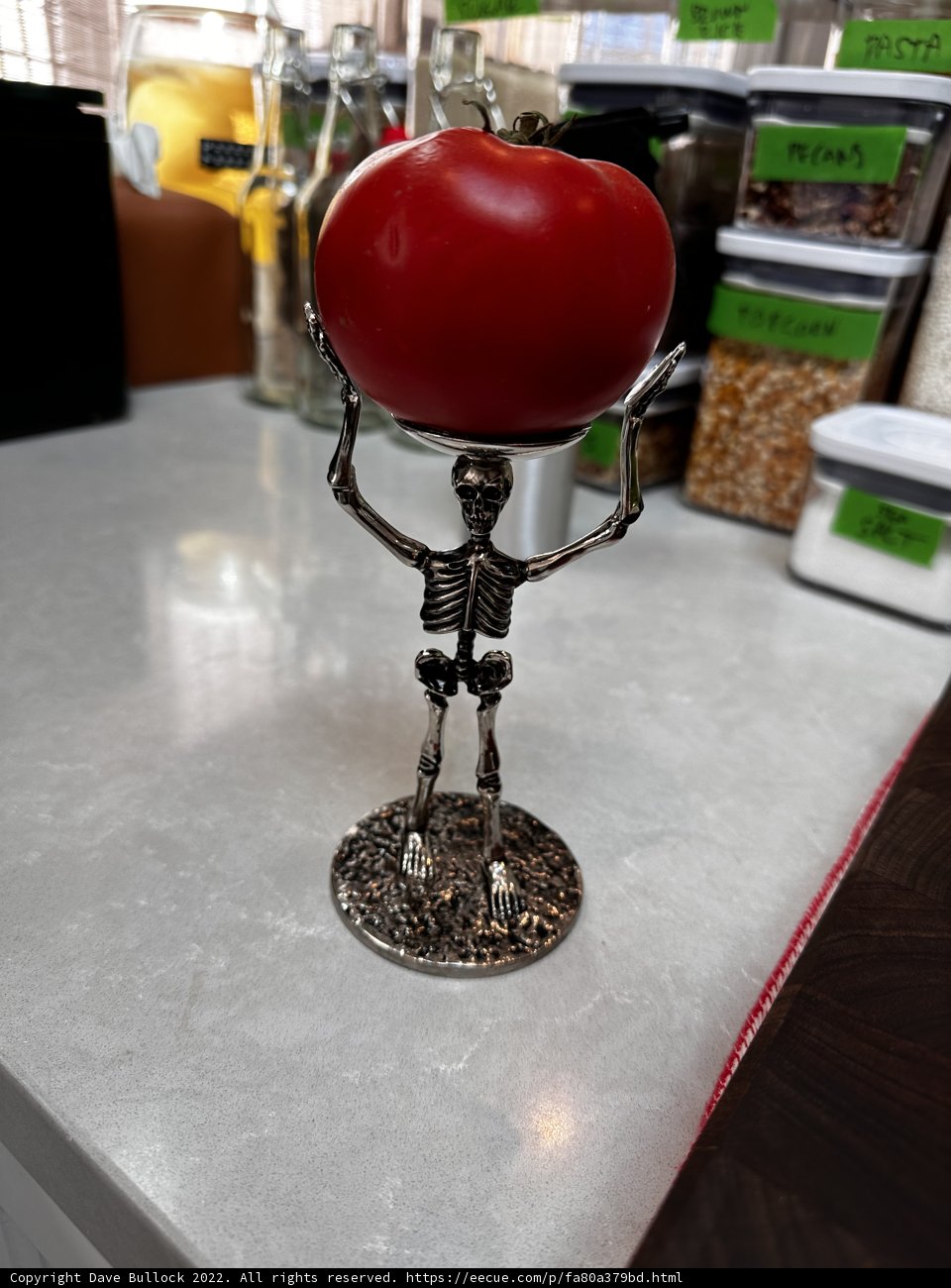 Skeleton's Harvest