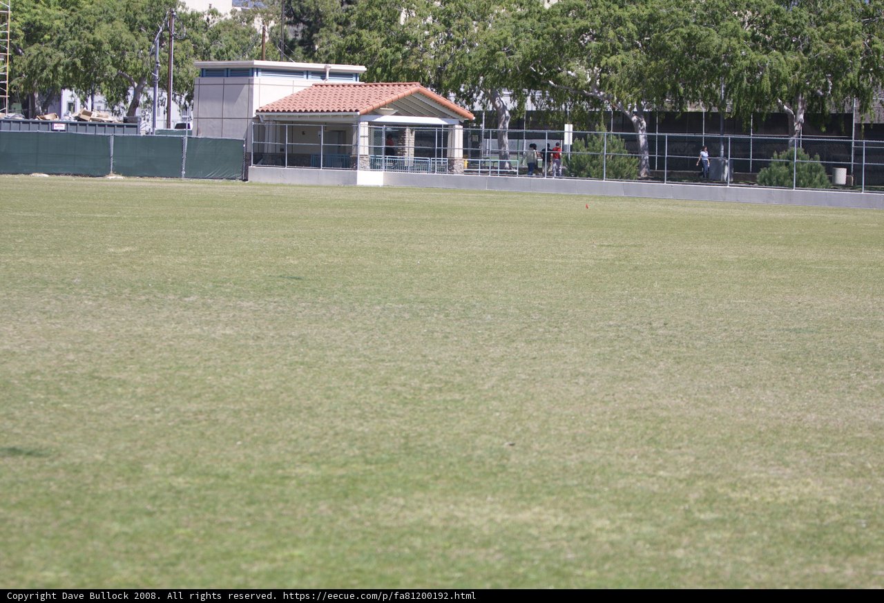 Frisbee Fun on the Caltech Turf