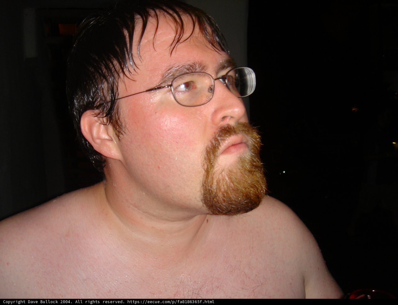 The Bearded Glasses Wearer