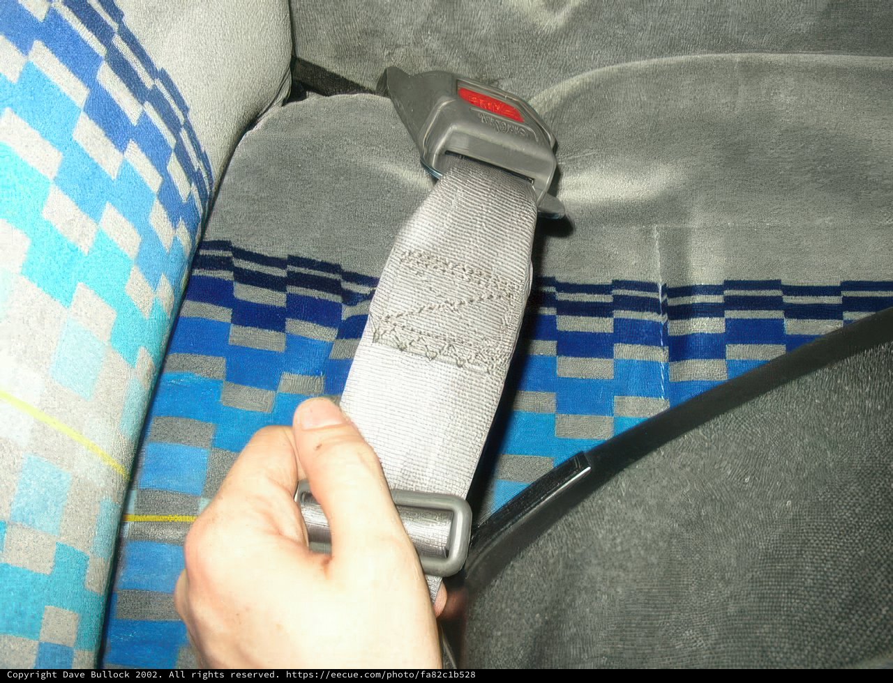 Buckle Up for Safety