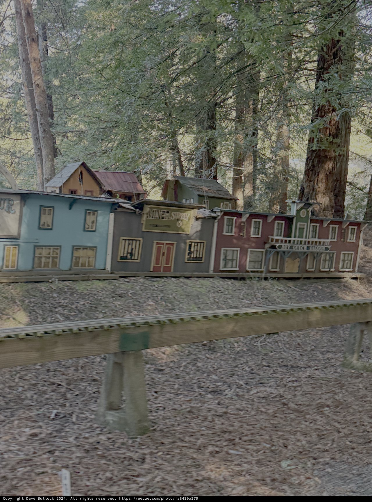 Colorful Victorian Houses Along Wooded Hillside