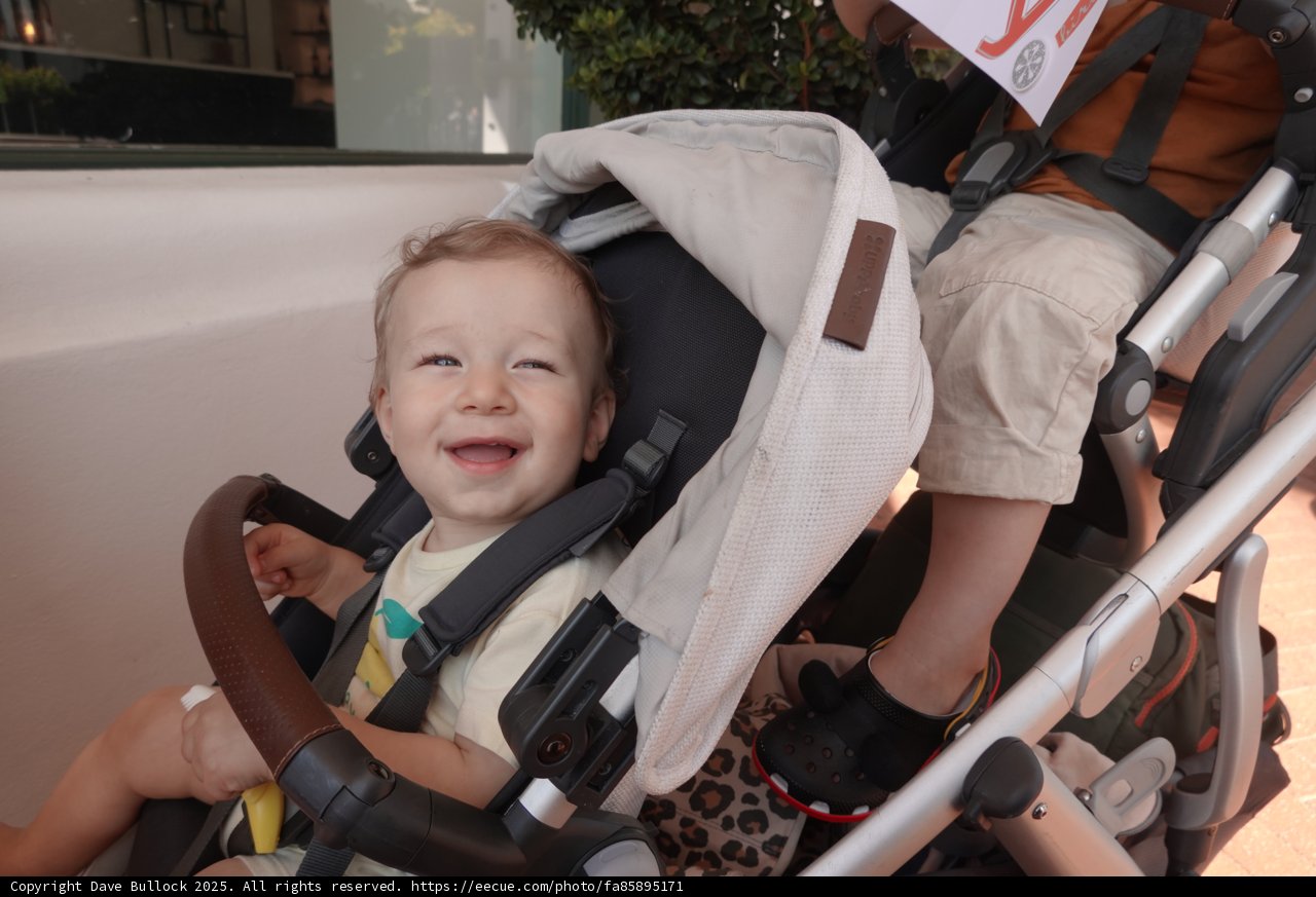 Joyful Journey: An Afternoon Stroll