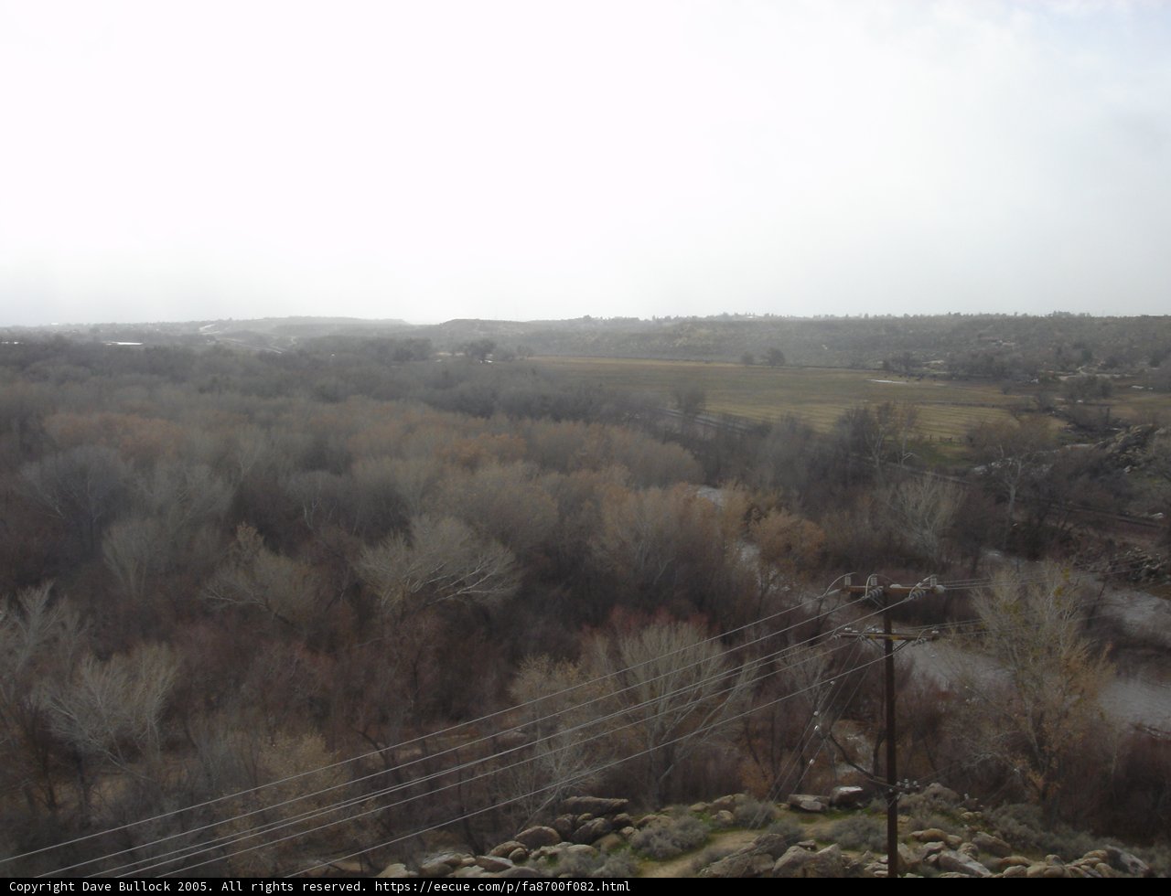 Misty Morning View