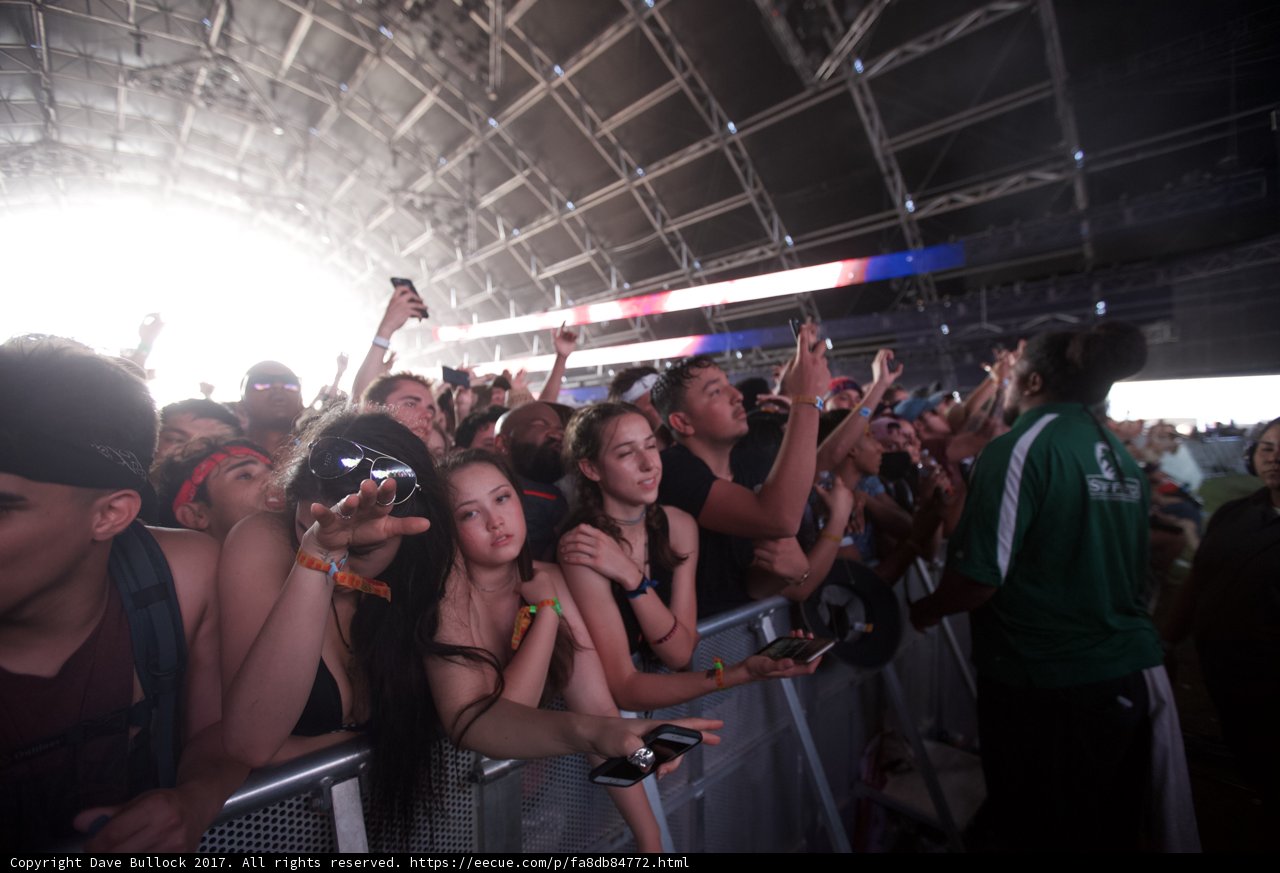 Snapshots at Coachella