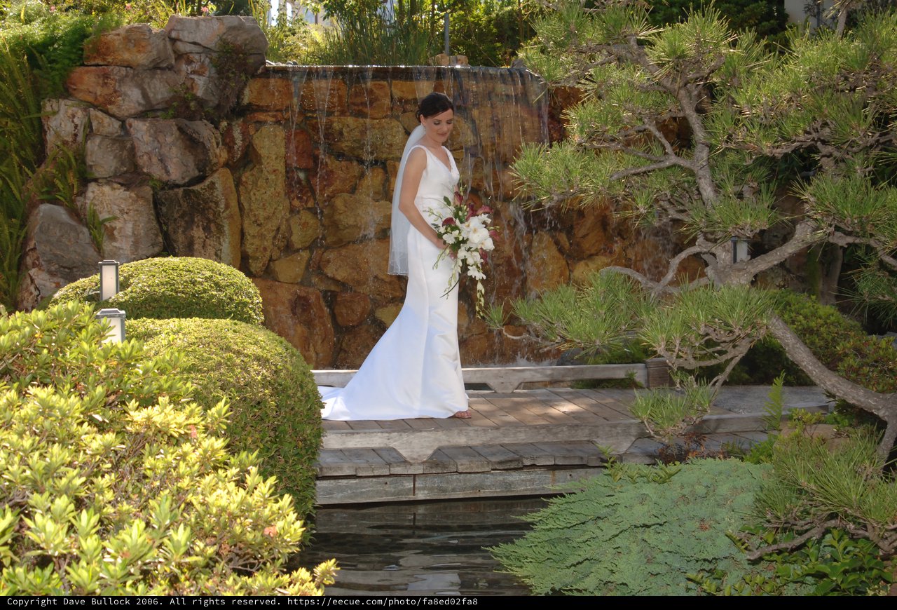 Bride Stands Elegantly Before Garden Waterfall