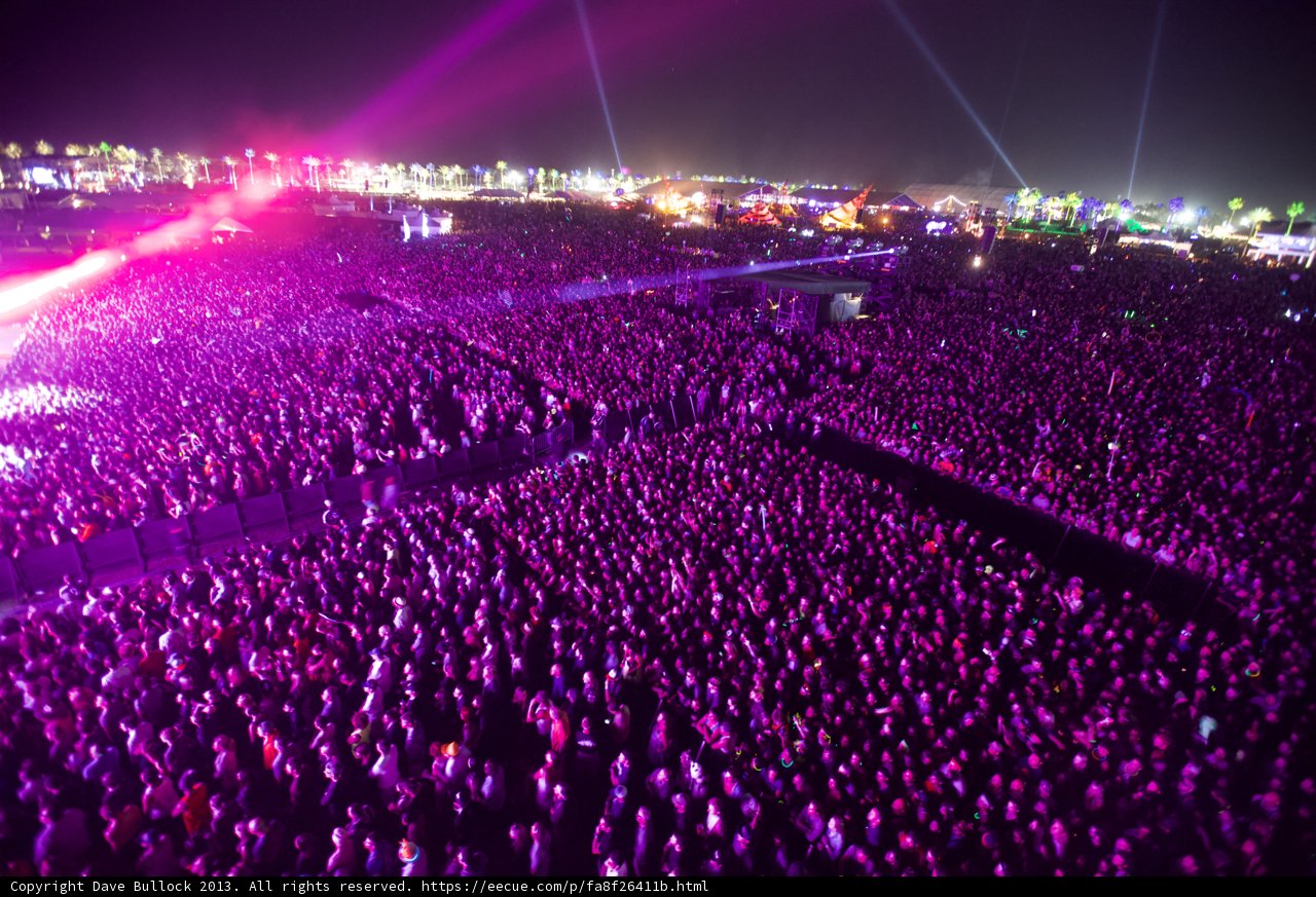 Purple Haze at Coachella
