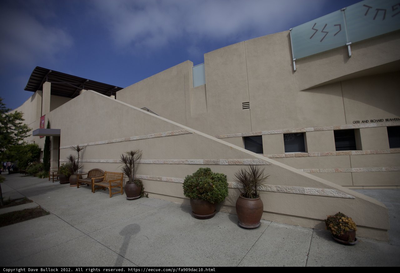 Plant-Rich Path to a Modern Masterpiece