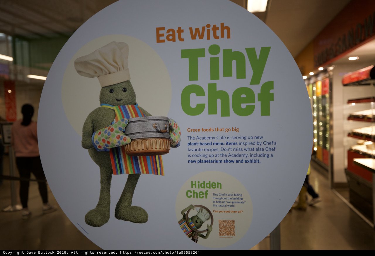 Tiny Chef Educational Display at Academy Museum
