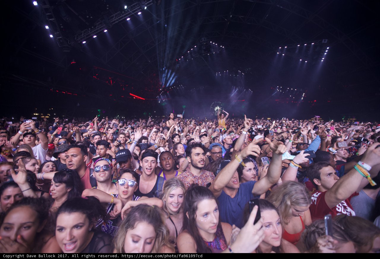Hands Up in the Crowd