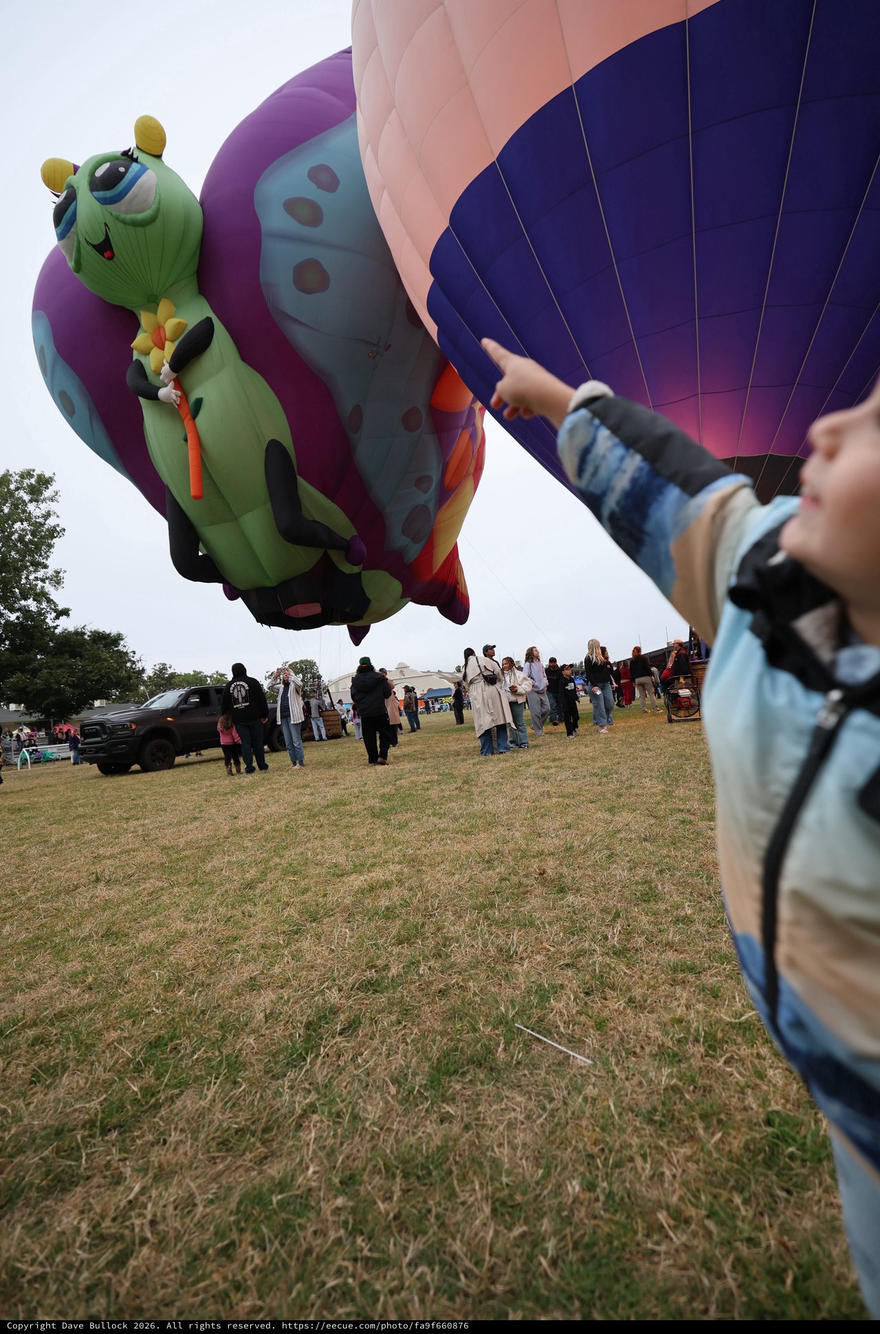 Child Marvels at Caterpillar Hot Air Balloon Festival