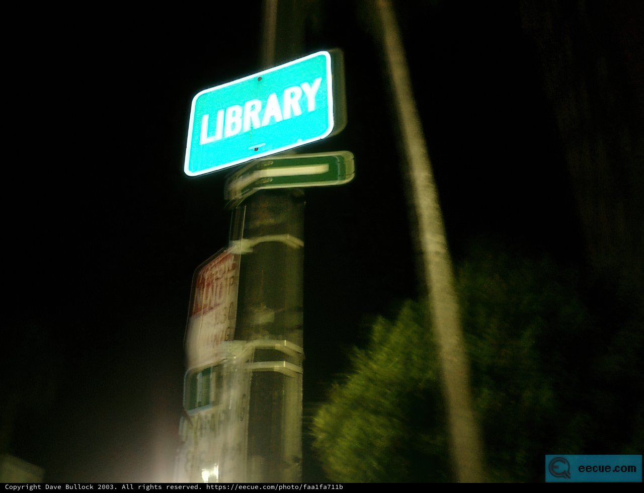 Reading Under the Night Sky