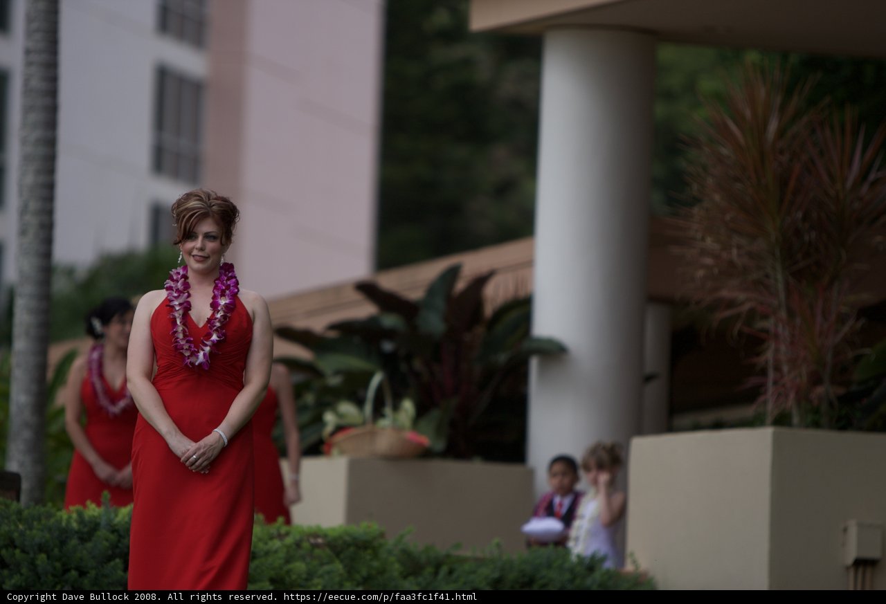 Lady in Red