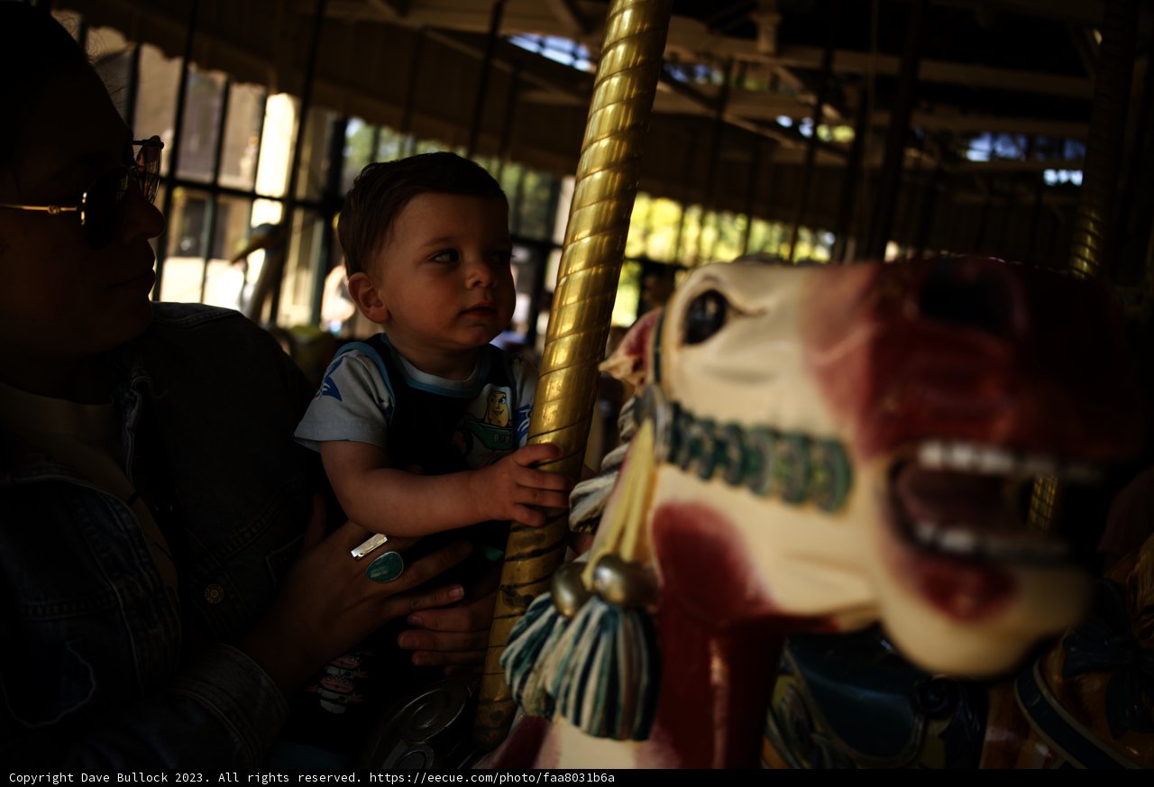 A Carousel Moment