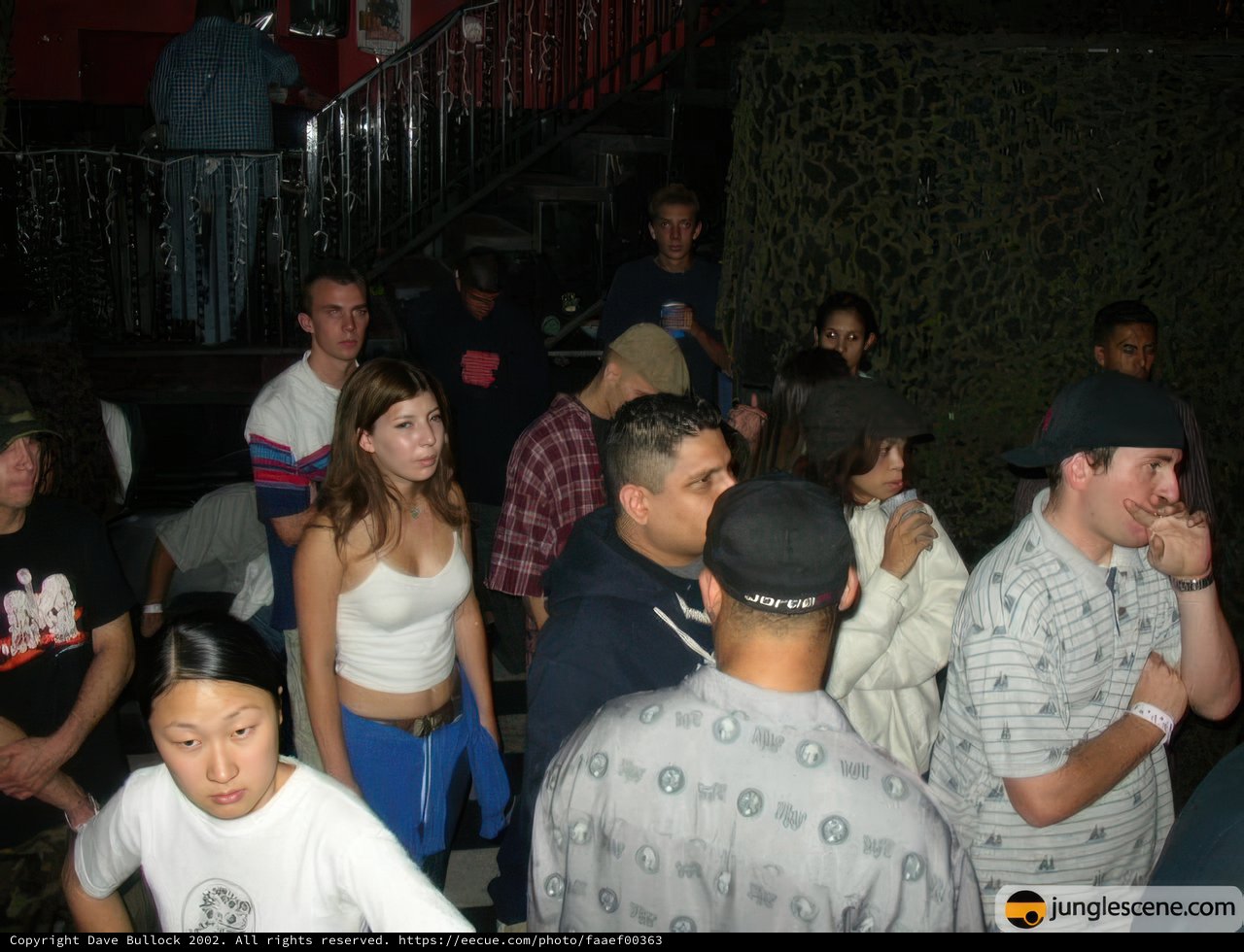 Nightclub Gathering