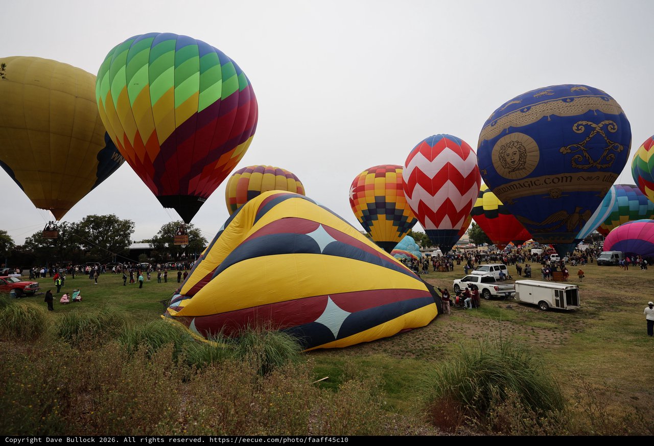 Colorful Hot Air Balloons Fill the Sky at Classic