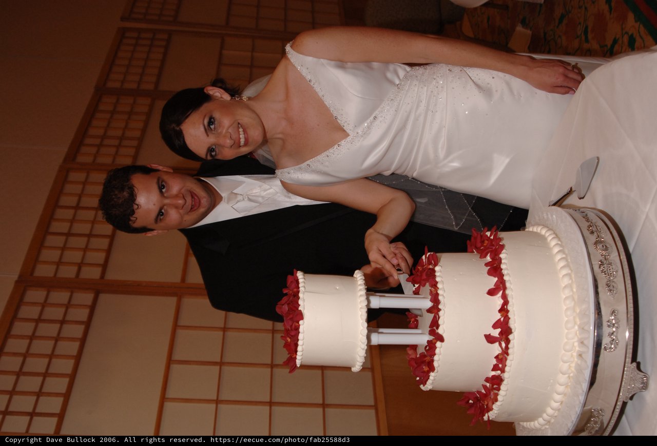 Bride and Groom Cut Elegant Three-Tier Wedding Cake