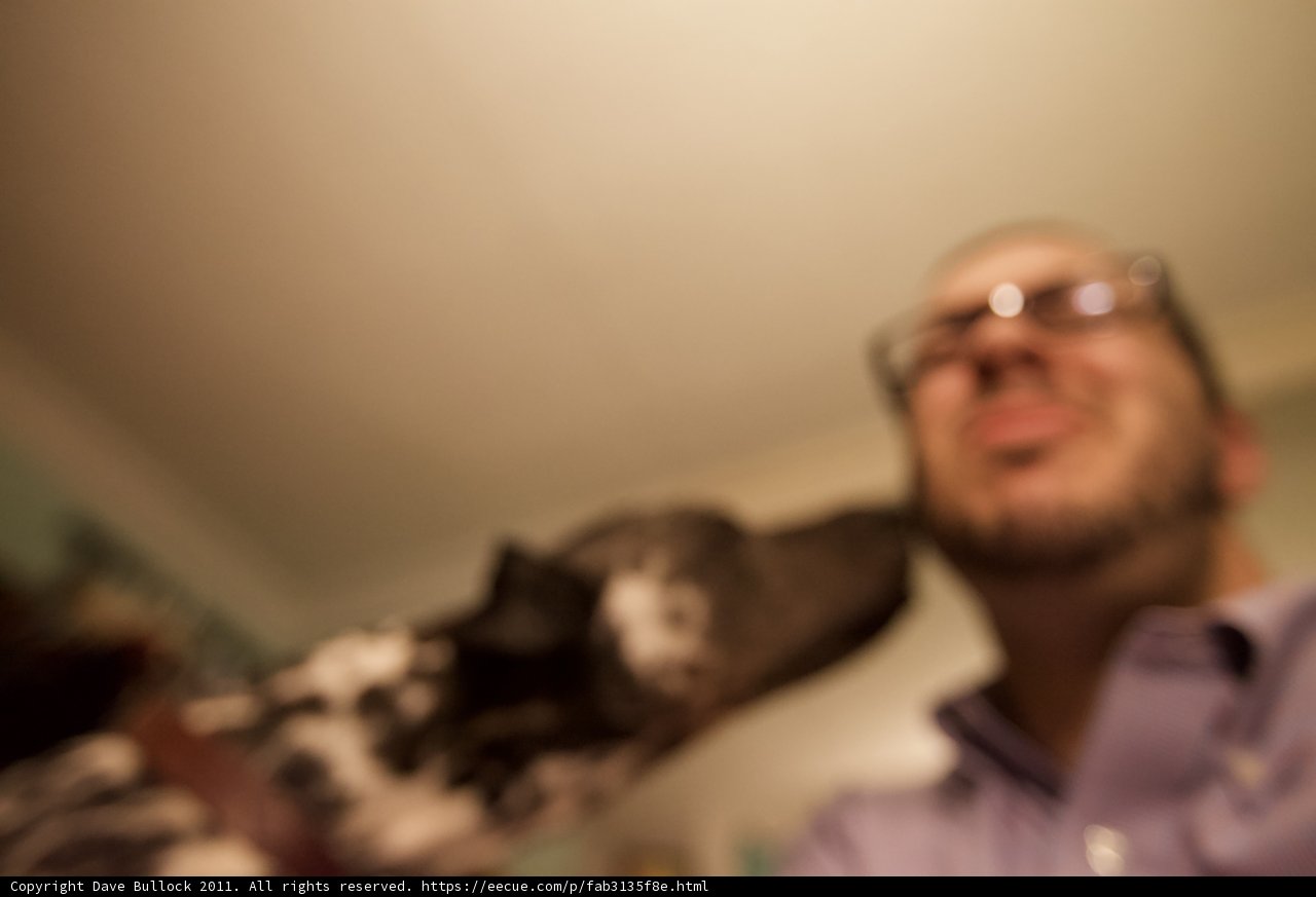 Man's Best Friend