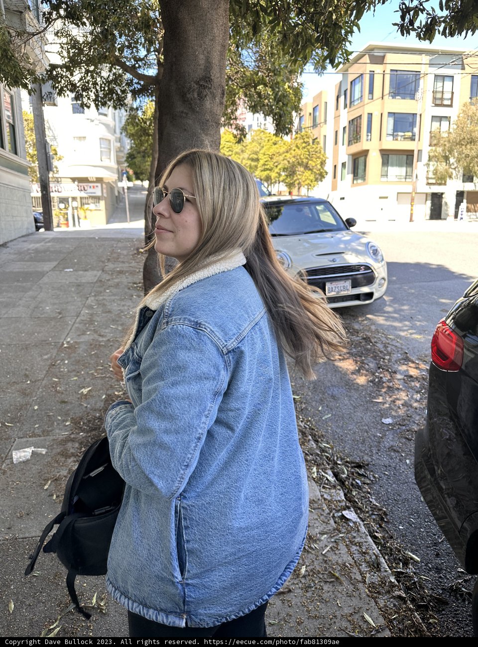 Strolling Through Alamo Square