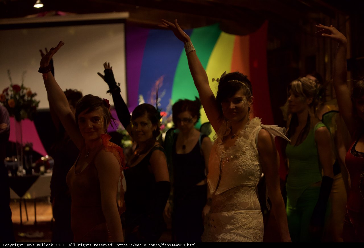 Wedding Nightclub Dancing