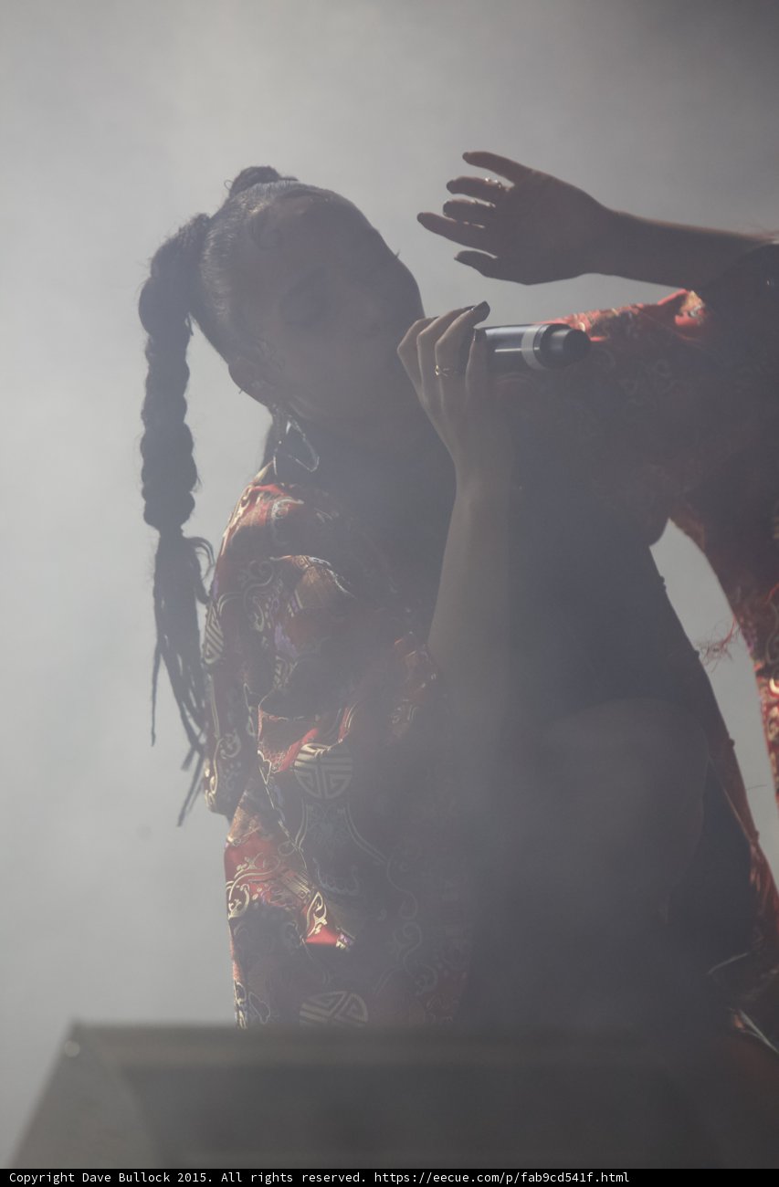FKA twigs Silhouette Profile Arm Raised Elegant Hand Red Brocade Kimono Gold Patterns Braided Ponytails Rings Heavy Backlit Haze