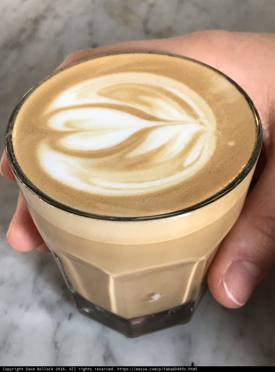 Sipping on a Latte with Leaf Art