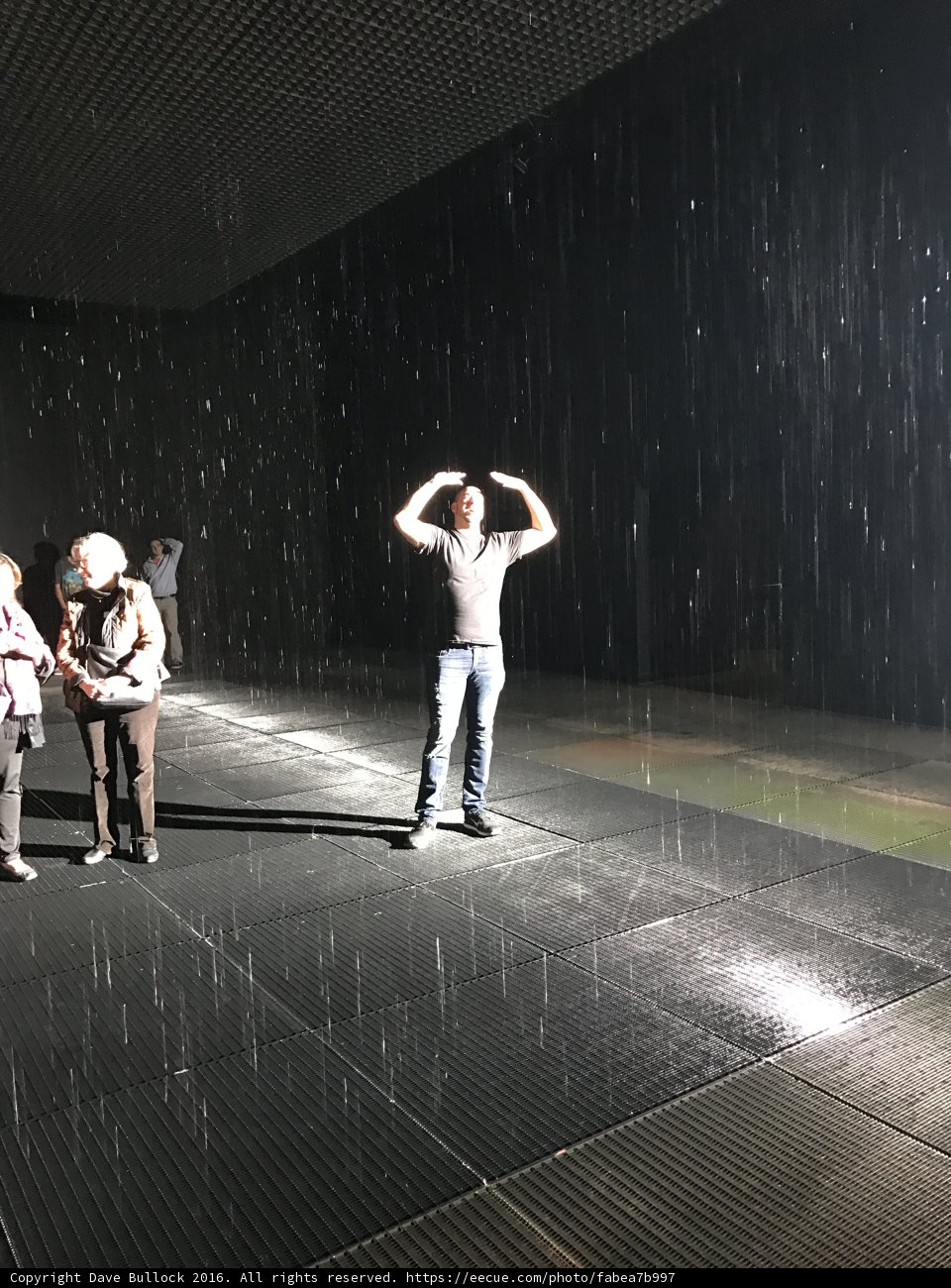 Dancing in the Rain