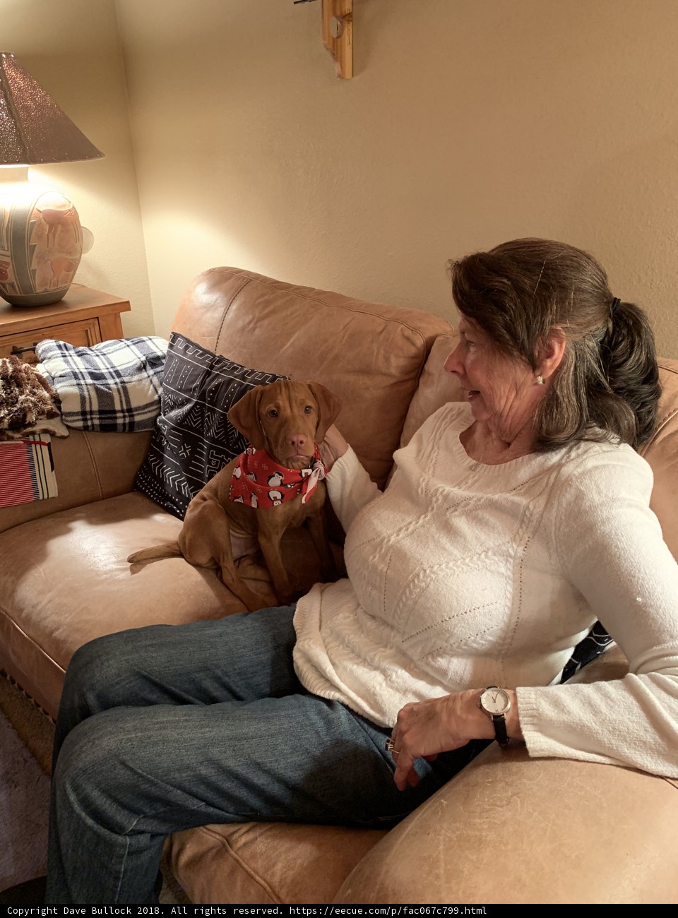 Cozy Afternoon with Furry Friend