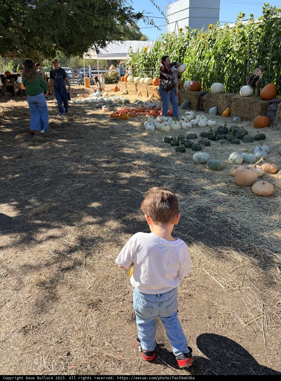 Autumn Adventures in Santa Rosa
