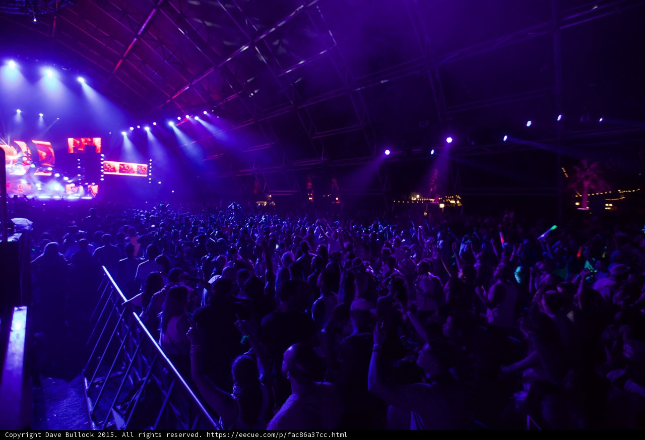 Purple Haze at Coachella