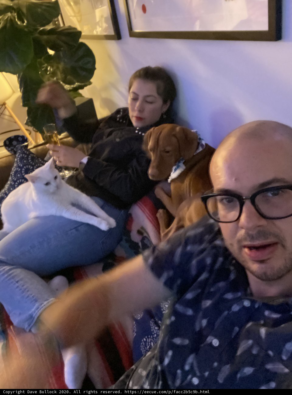 Cozy Evening with Furry Friend