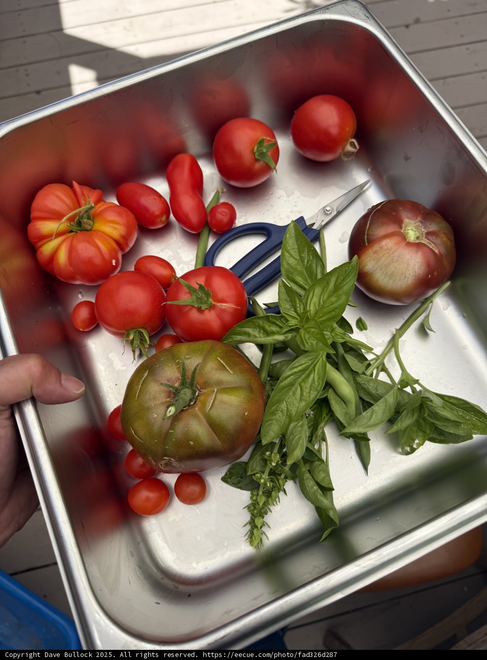 Garden Fresh Harvest