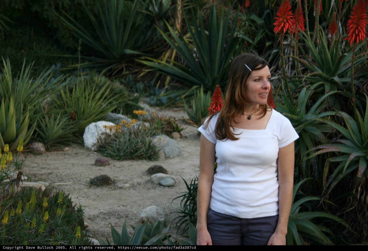 Woman Amid Desert Succulents and Aloe Blooms
