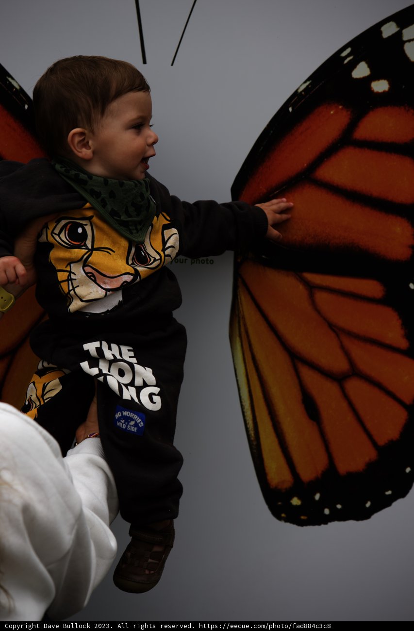 A Baby's Encounter with Nature at SF Zoo