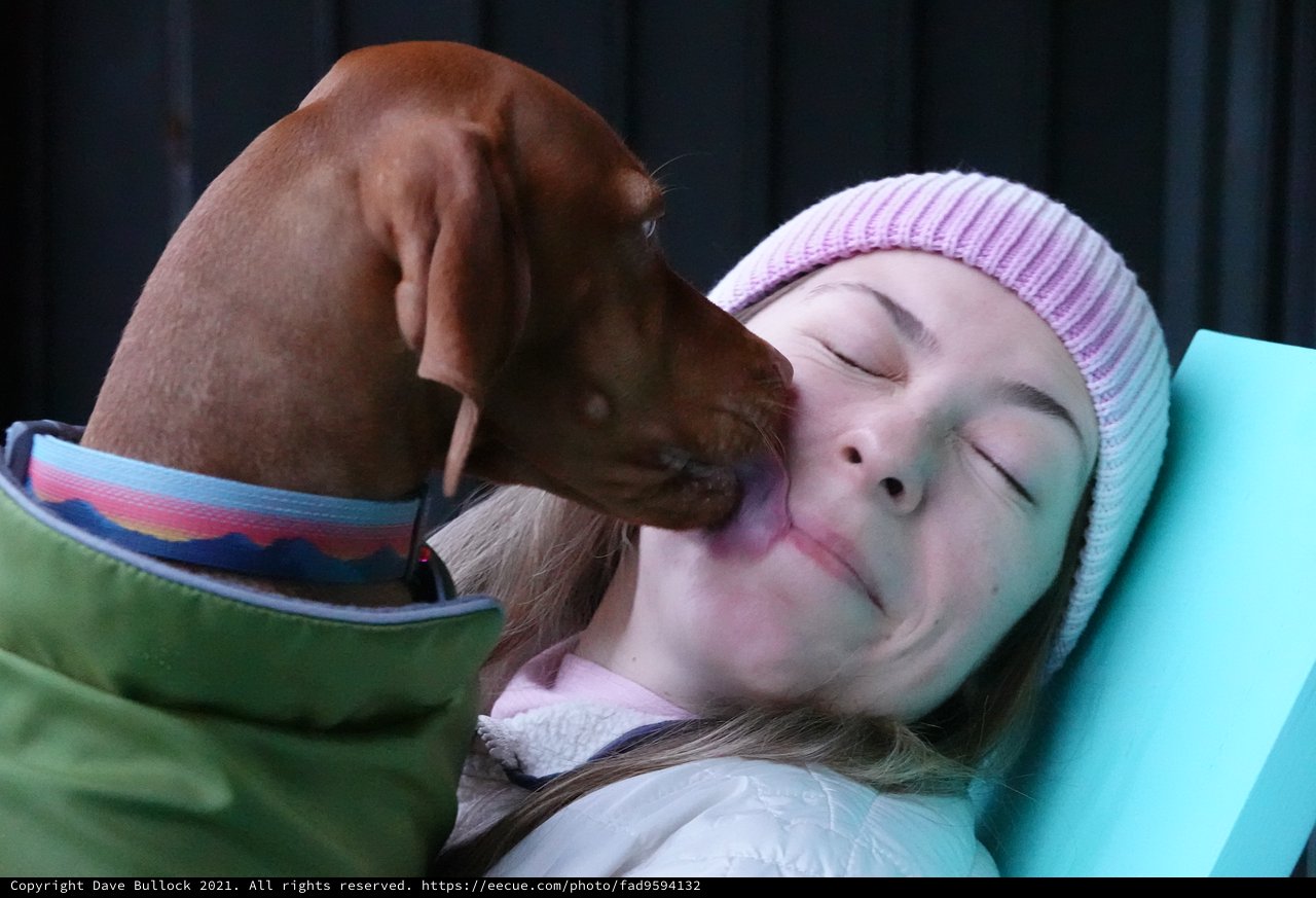 Gentle Dog Kiss Brings Comfort and Joy