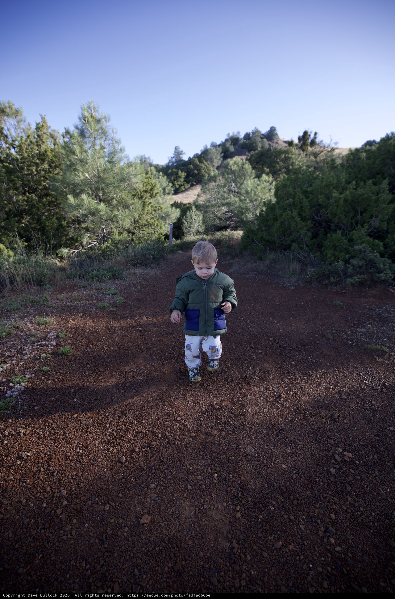 Tiny Explorer Walks the Trail at Mount Diablo