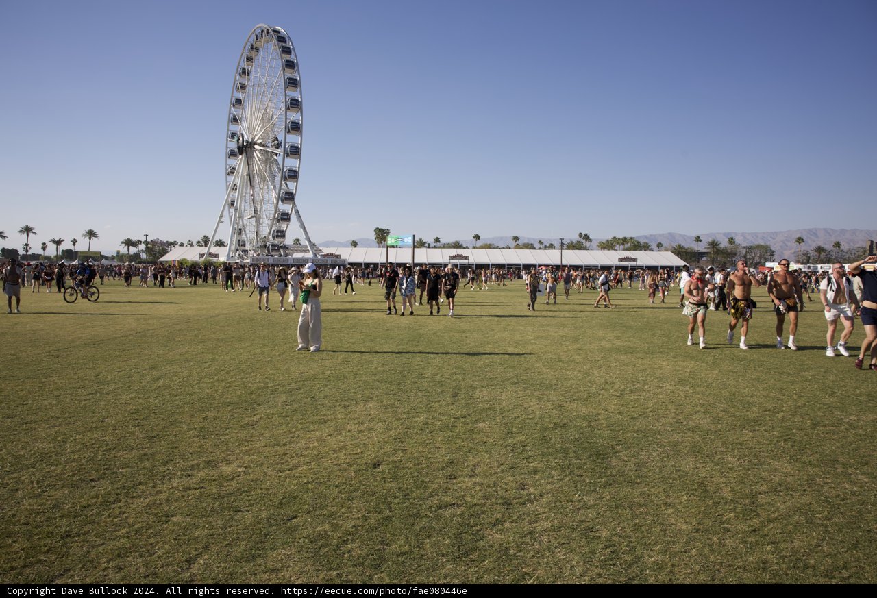 Sunny Festivities at Coachella 2024