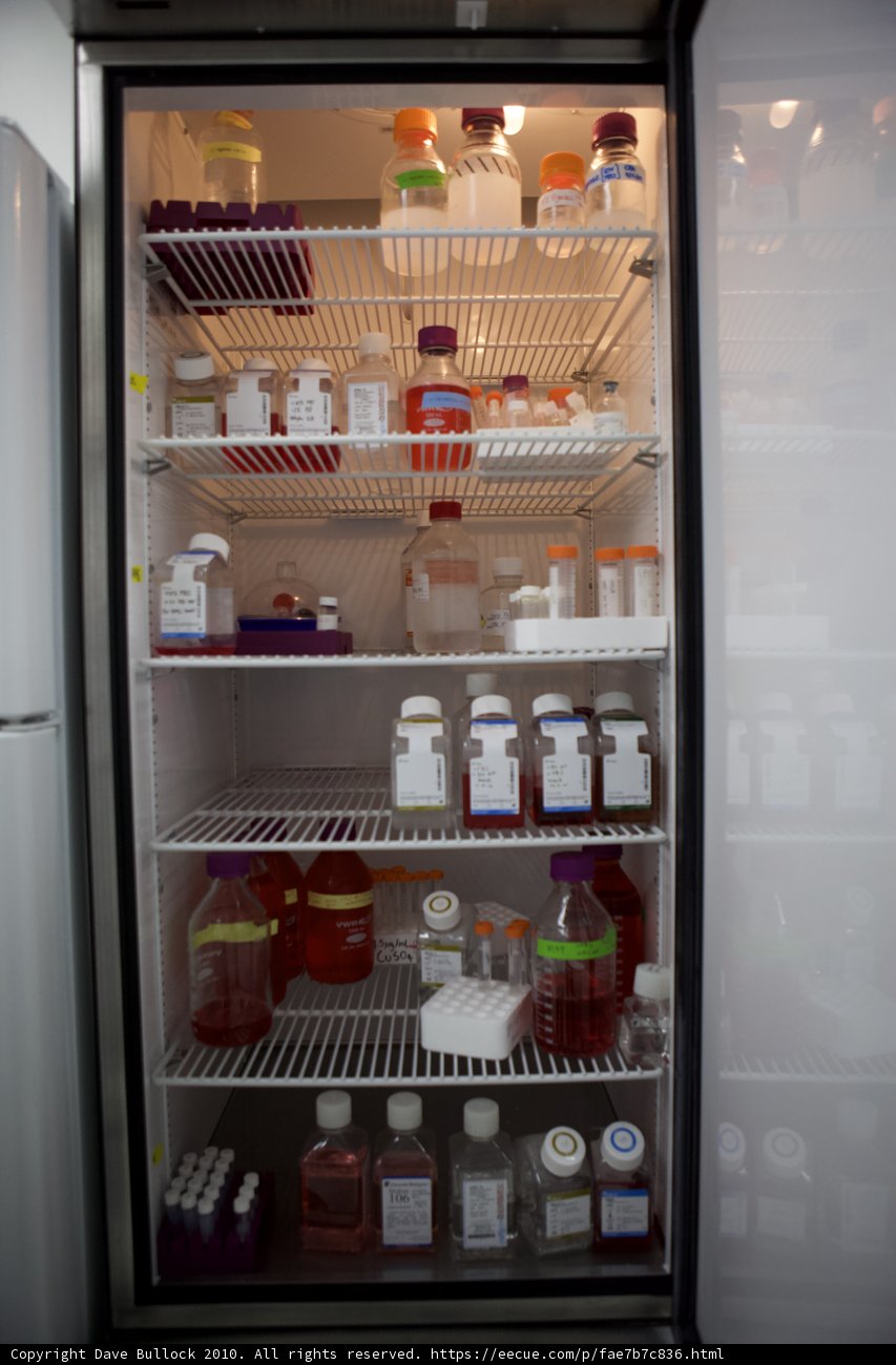 Inside the Refrigerator