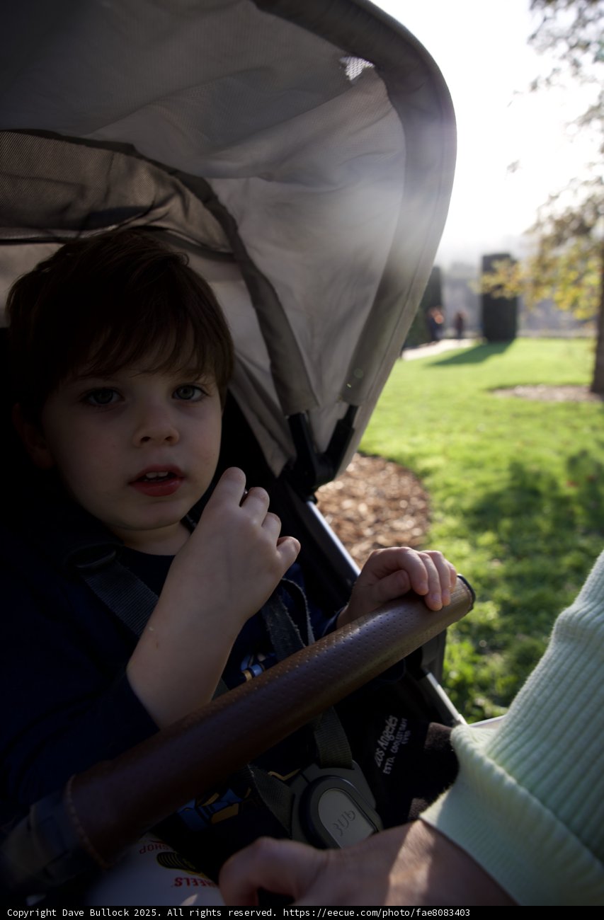 Curious Moments at Thistlewyck