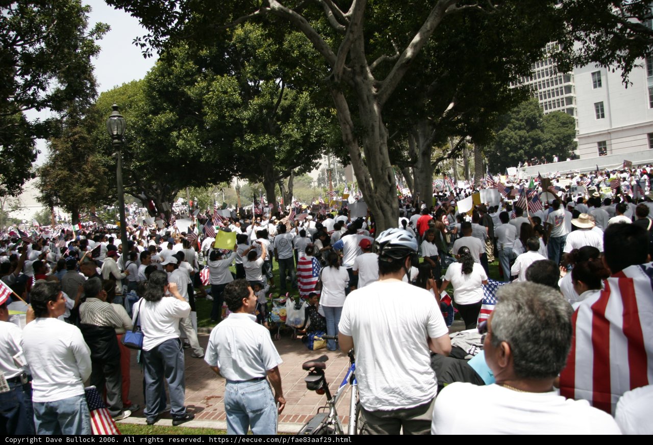 Gathering in the Park