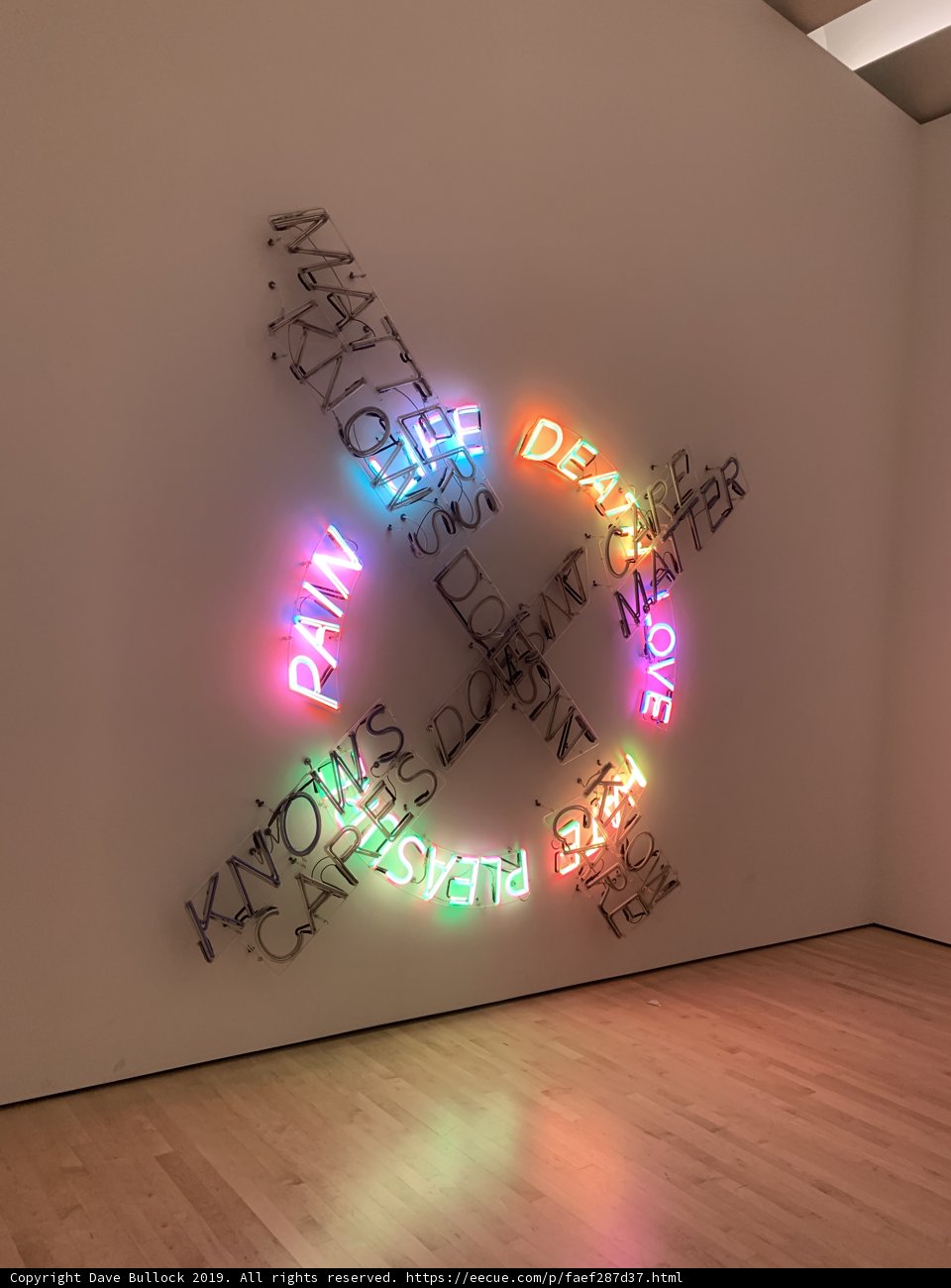 Illuminated Exhibition