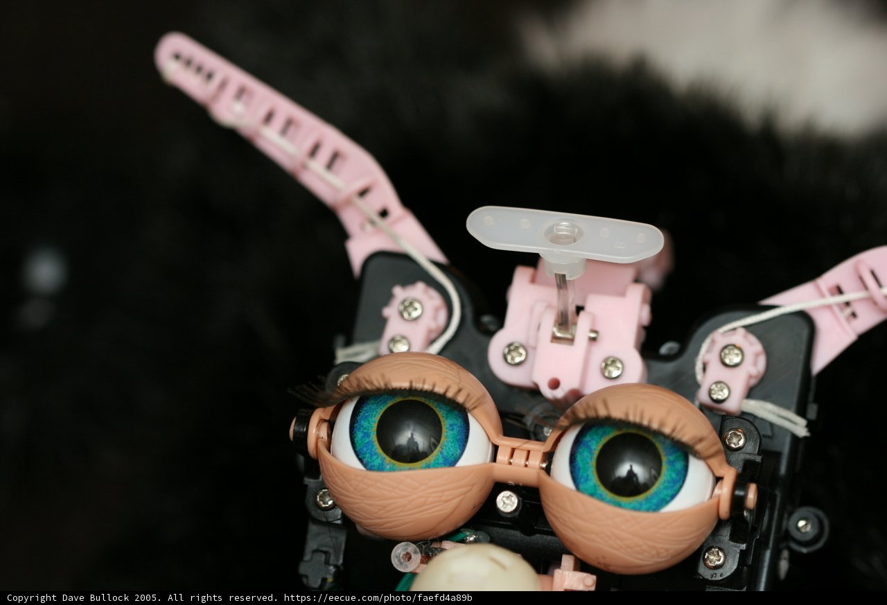 Pink-Nosed Robot
