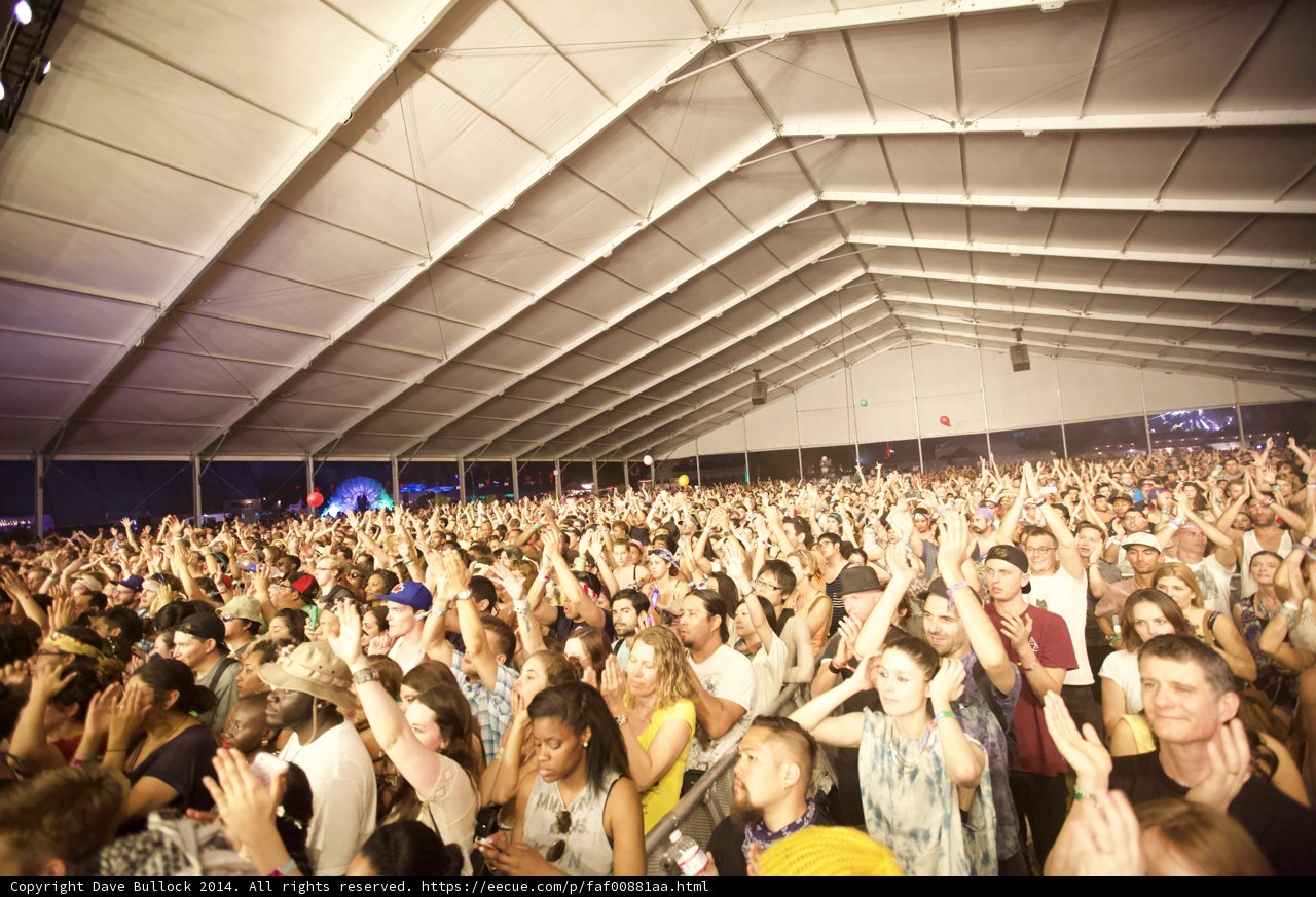 The Euphoric Crowd