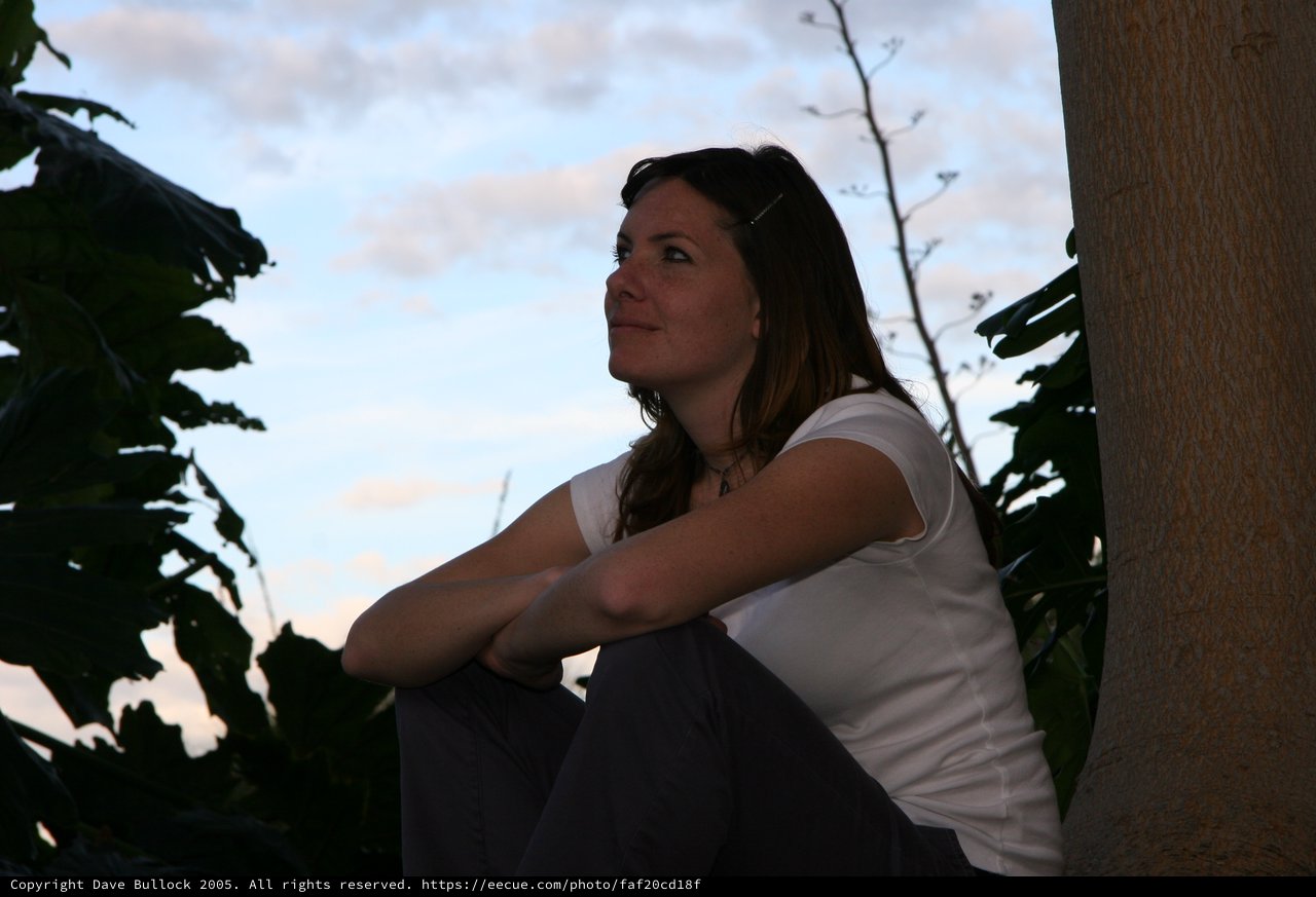 Contemplative Woman Gazing at Twilight Sky