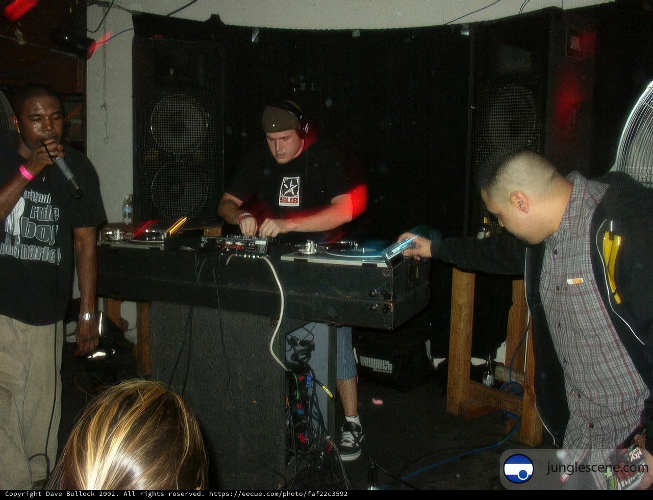 Music and Nightlife in 2002