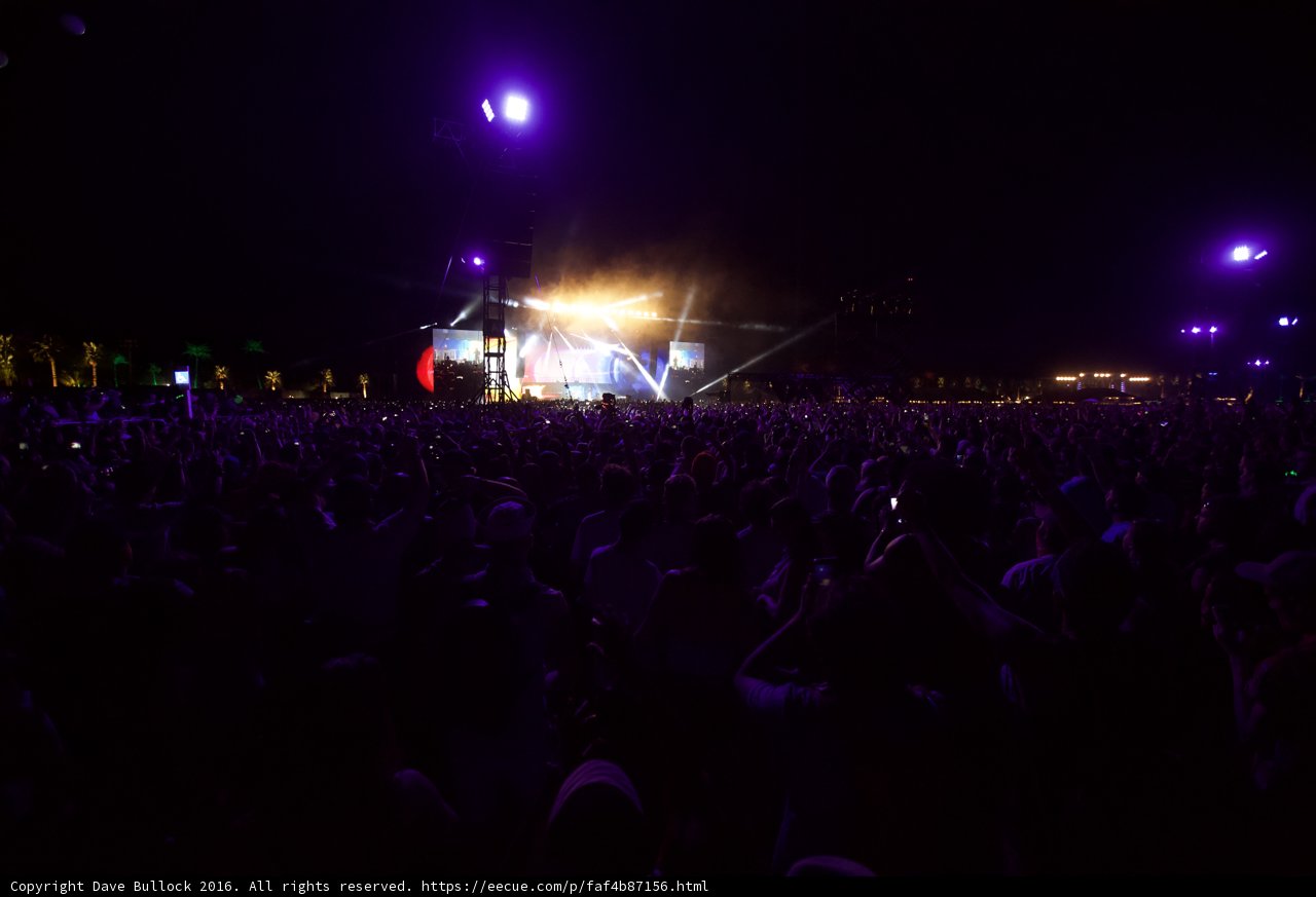 Purple Haze Rock Concert