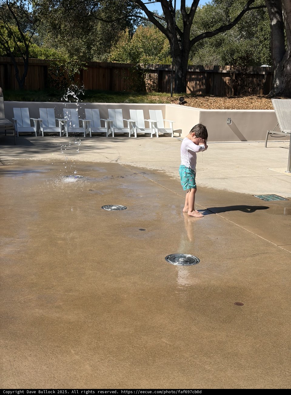 Splash of Joy